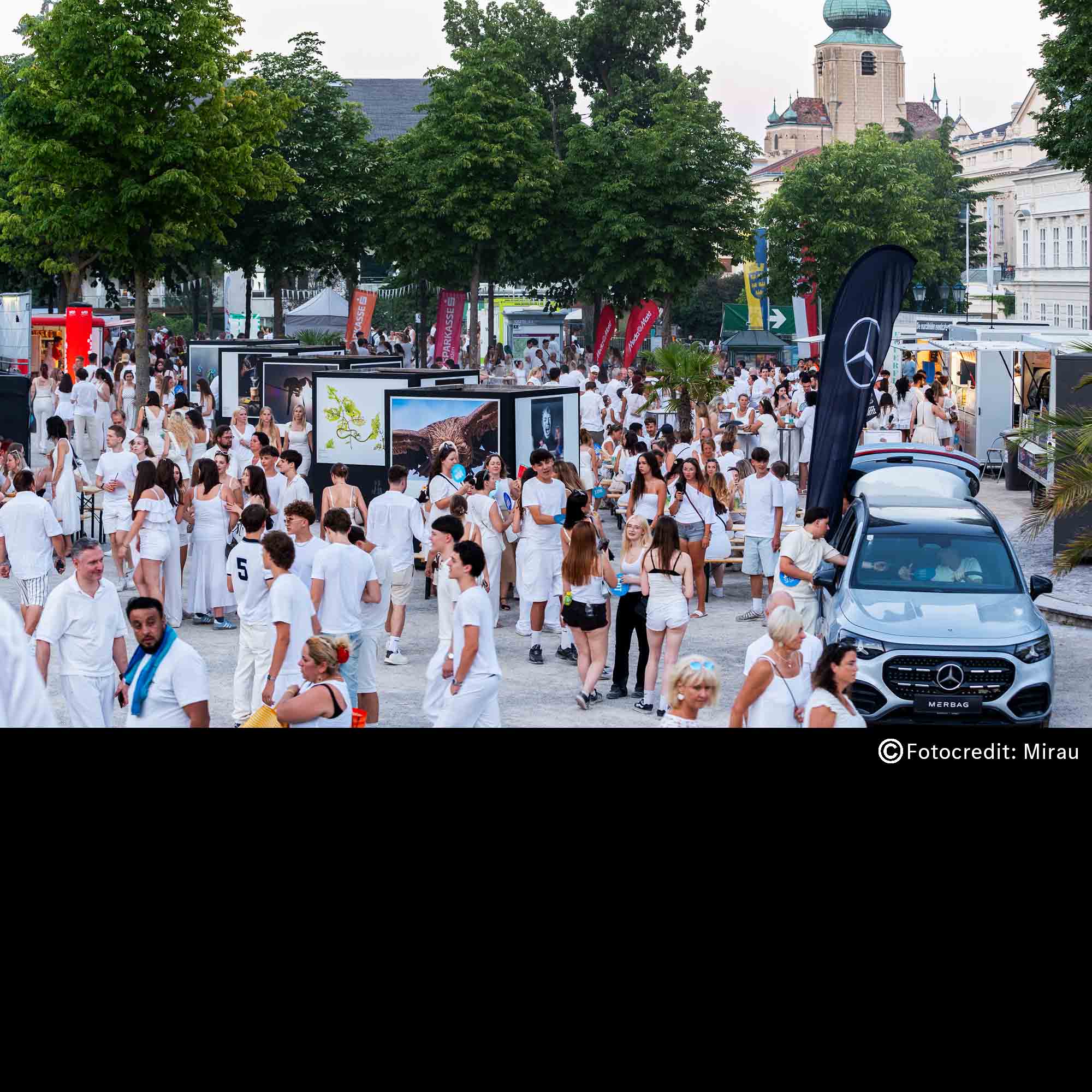 Blog_Baden in weiß_Header