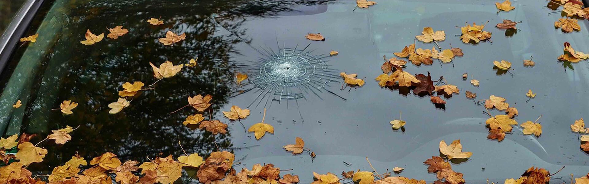 Aktion: gratis Vignette bei Windschutzscheibentausch