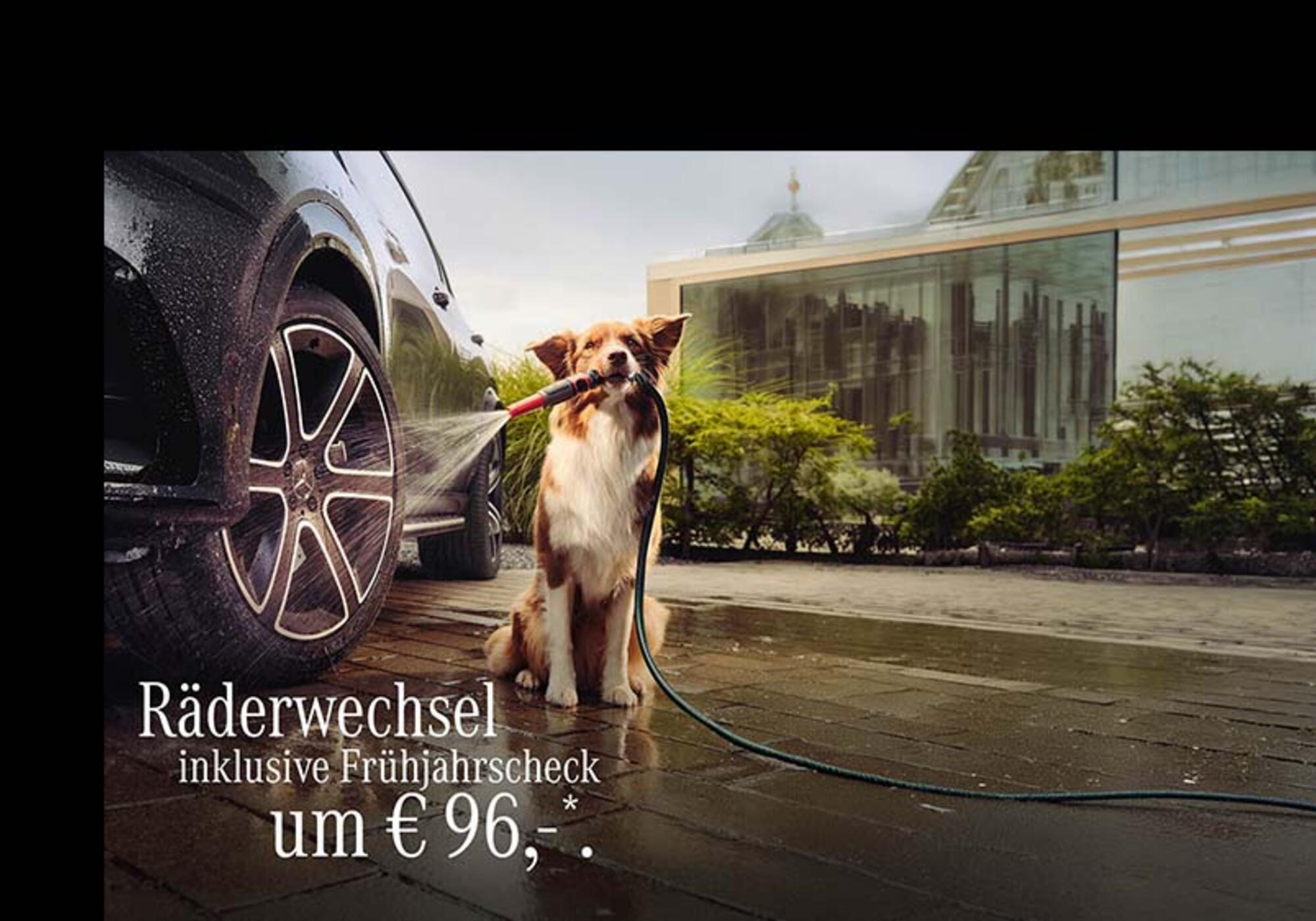 Frühjahrscheck bei Merbag