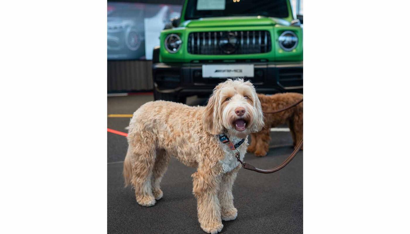 Bildgalerie Frühlingsfest_vierbeinige Besucher