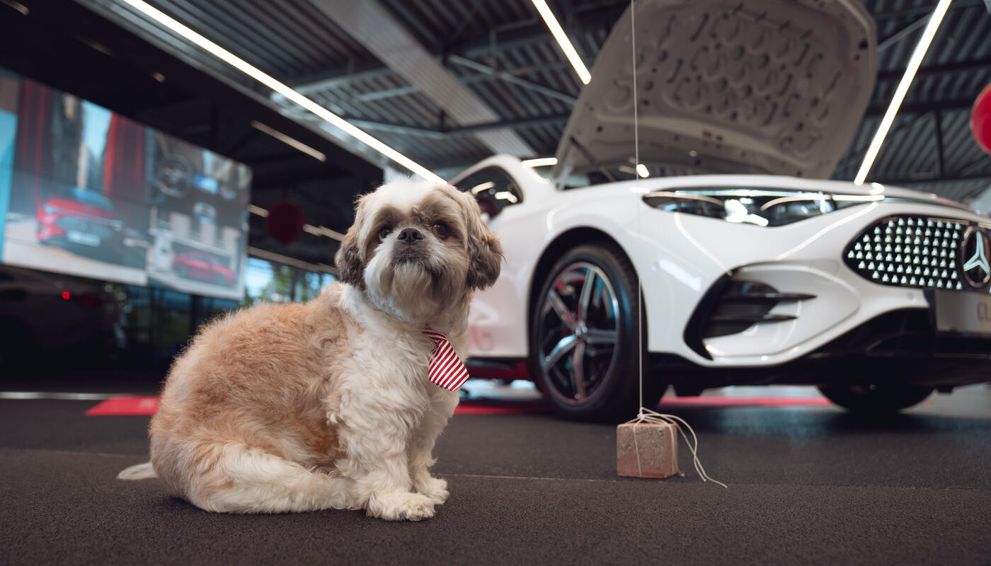 Merbag Herbstfest 2025_der CLA lockt auch tierische Gäste an