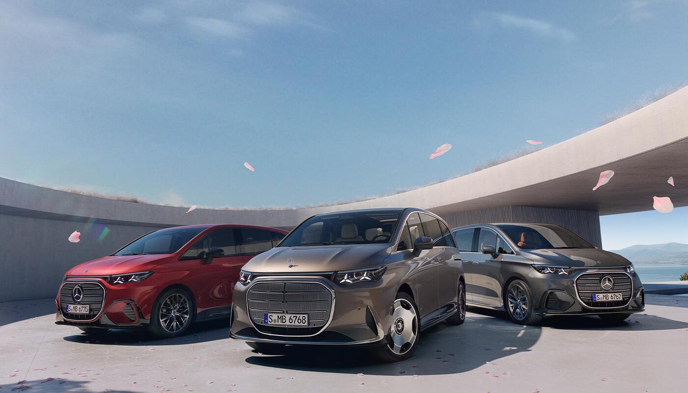 VLE insgesamt drei Varianten