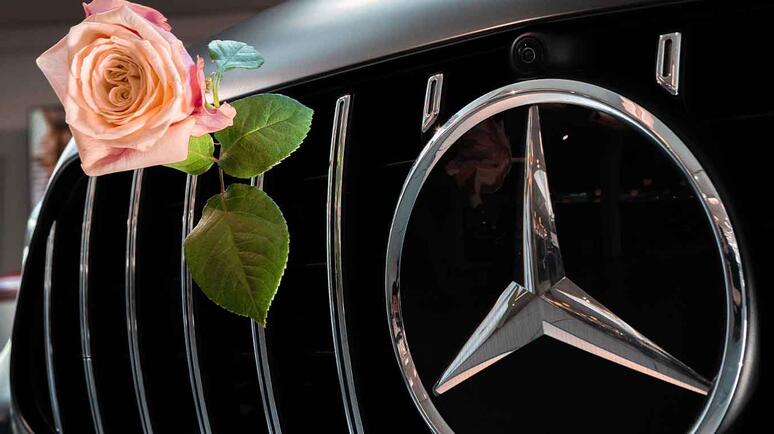 Dienstleistungen Fahrzeugpflege