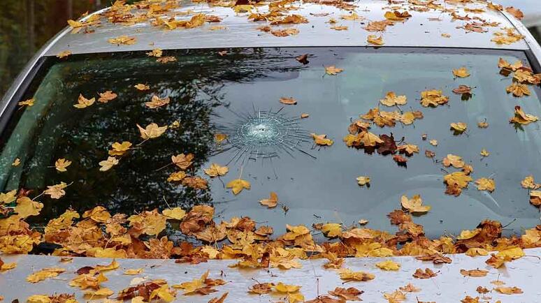 Windschutzscheiben Vignettenaktion