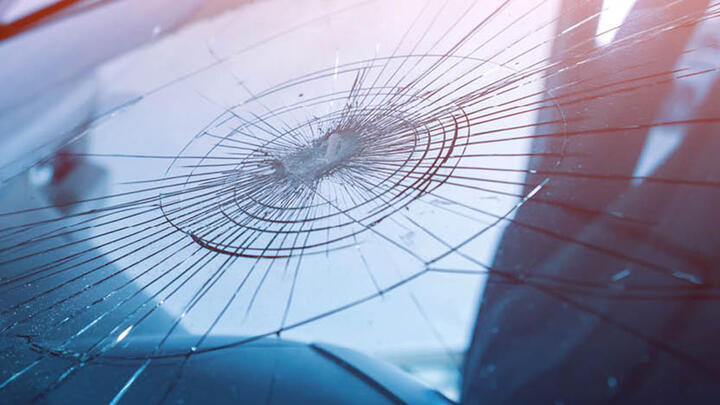 Windschutzscheiben Vignettenaktion