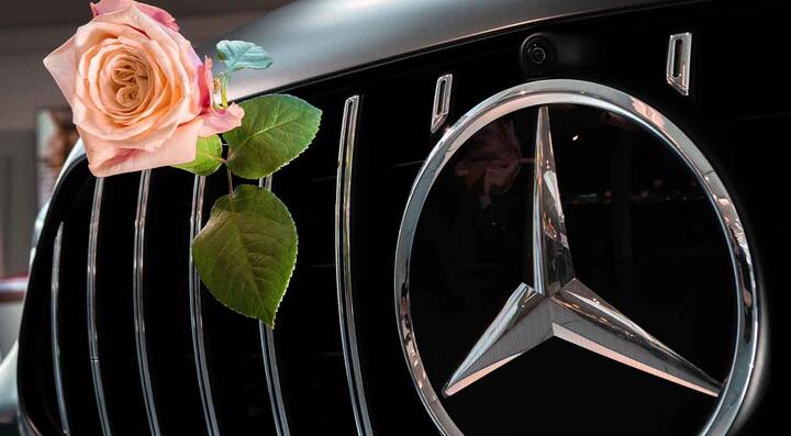 Dienstleistungen Fahrzeugpflege