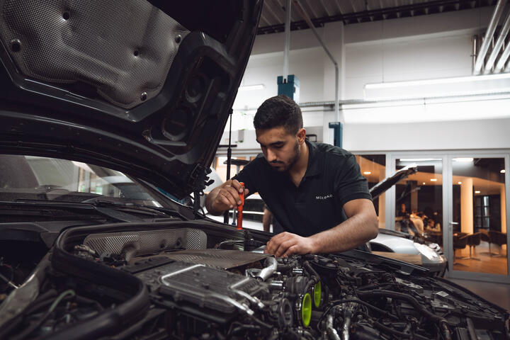 Marderschutz bei Merbag