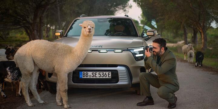 smart #5_Alpaka auf der Straße