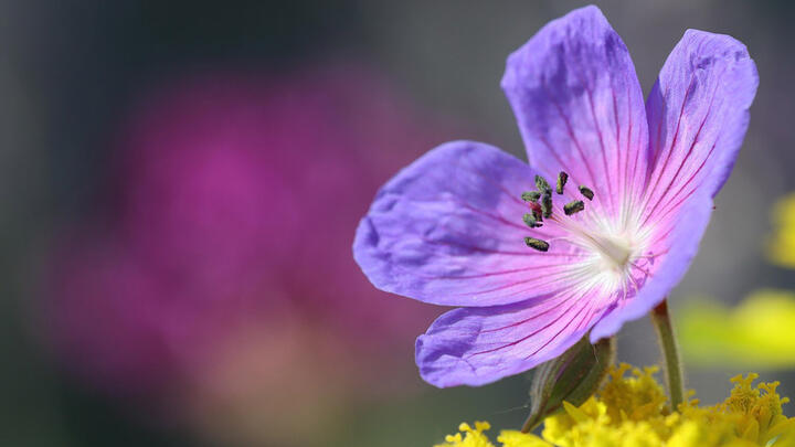 Frühlingsfest bei Merbag_Frühlingsfrische mit Pflegepaketen in Aktion